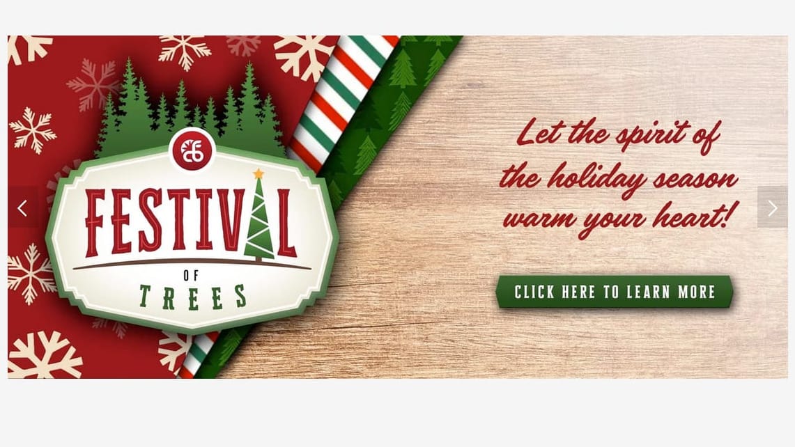 Festive trees add sparkle to CBF fundraiser to aid cancer families