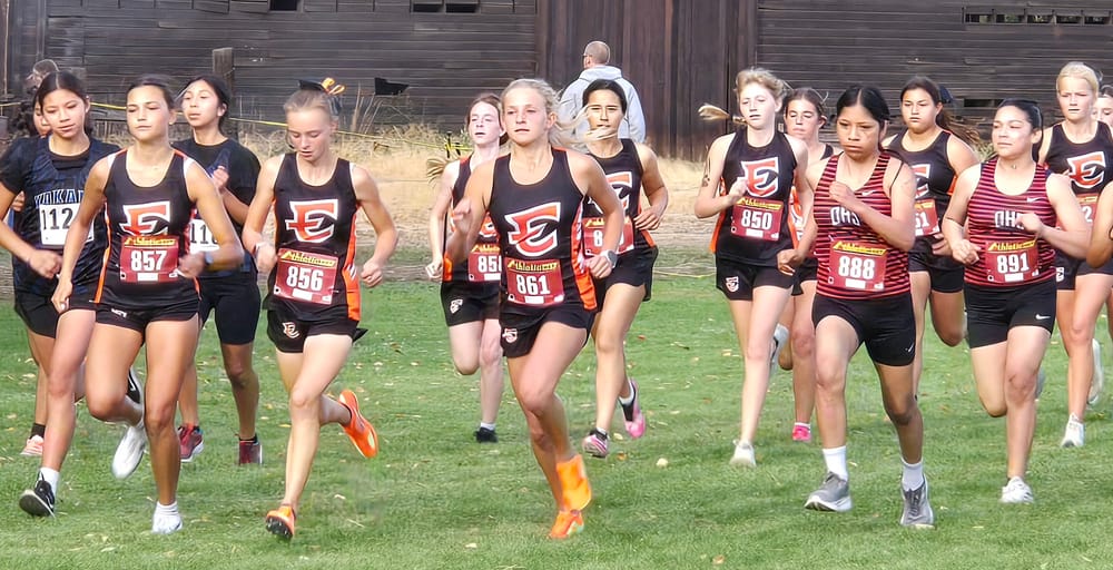 Windy conditions, strong finishes highlight Tigers’ latest race post image