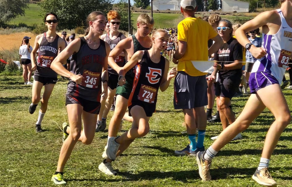 Tigers shine on rugged Apple Ridge course post image