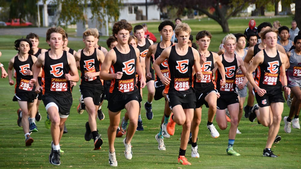 Home-course advantage: Tigers sweep CWAC finale at Lakeview post image
