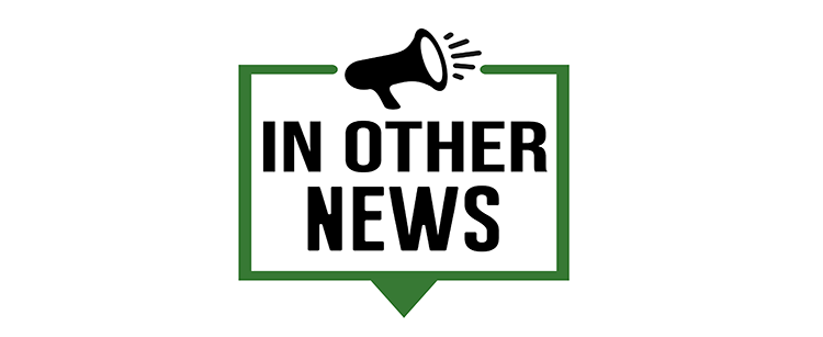 In Other News post image