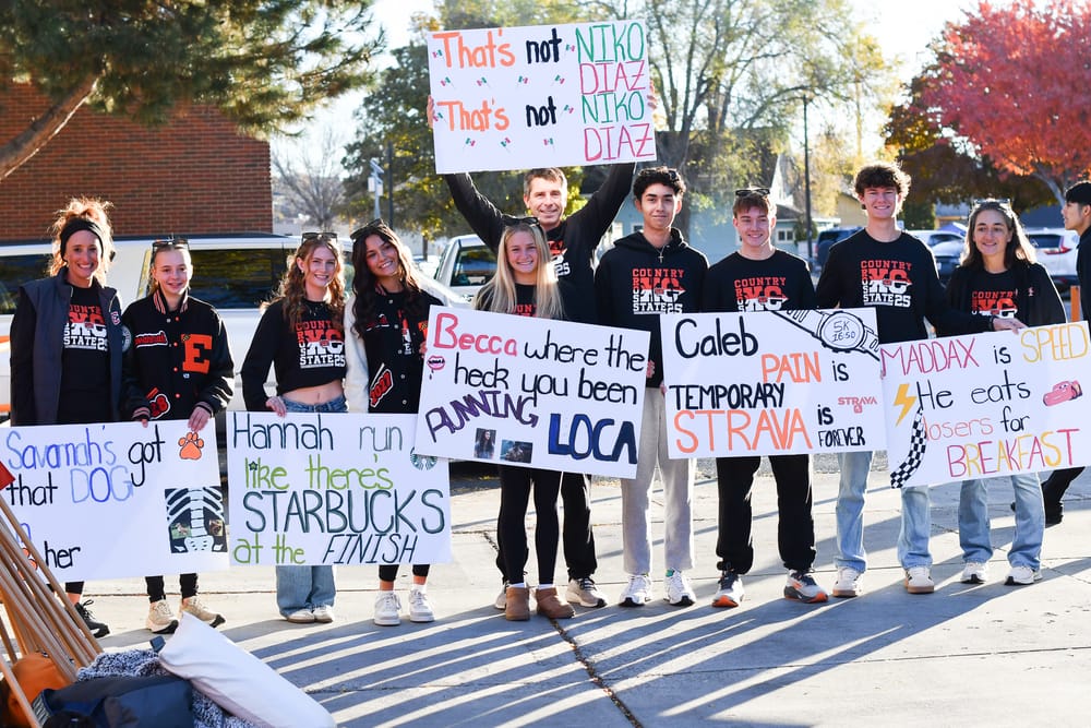 Tigers end season with strong efforts at state XC championships post image