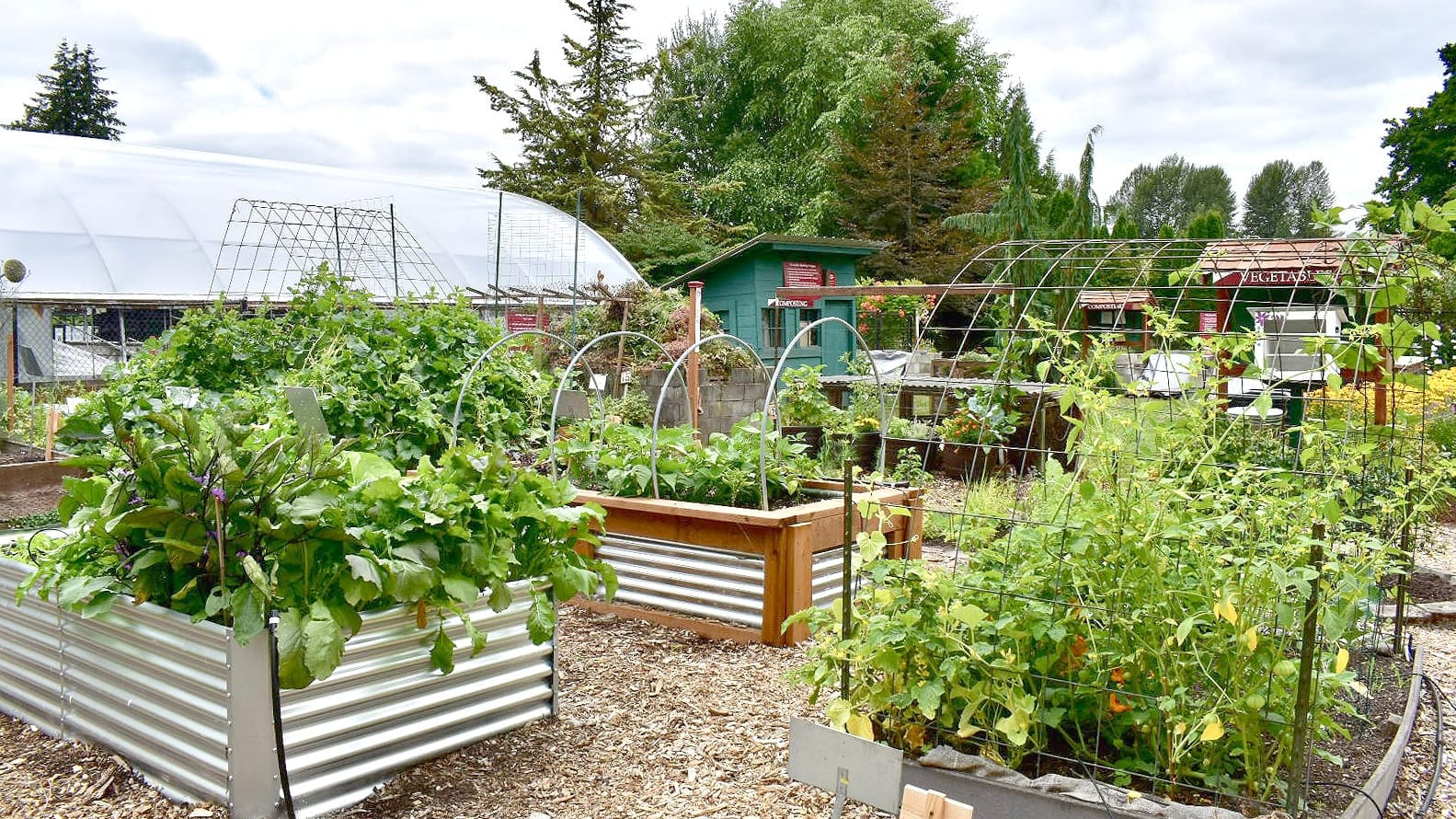 Plan, prep your garden for a rewarding harvest season post image