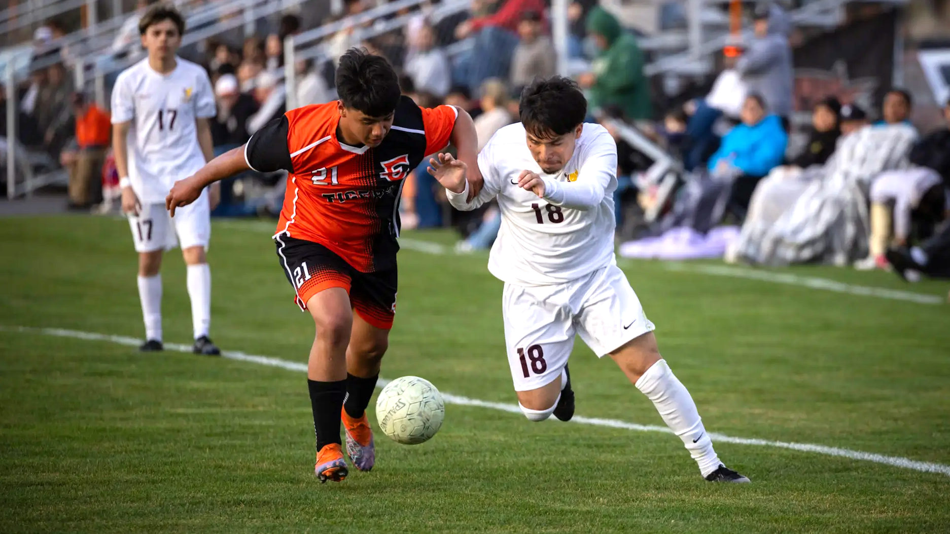 Mixed results for Tiger soccer in four-game stretch post image