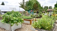 Plan, prep your garden for a rewarding harvest season post image