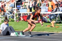 Tigers win boys team title at 50th Ray Cross Invitational post image
