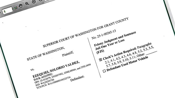 Rock-throwing suspect sentenced for assaults post image