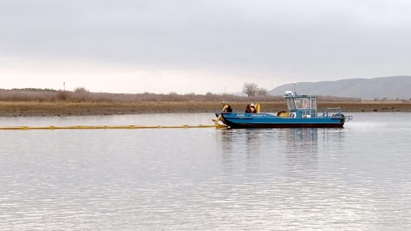 Cleanup underway for river oil spill at Priest Rapids Dam post image