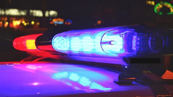 Couple arrested following burglary, police pursuit post image