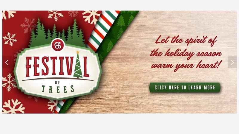 Festive trees add sparkle to CBF fundraiser to aid cancer families post image