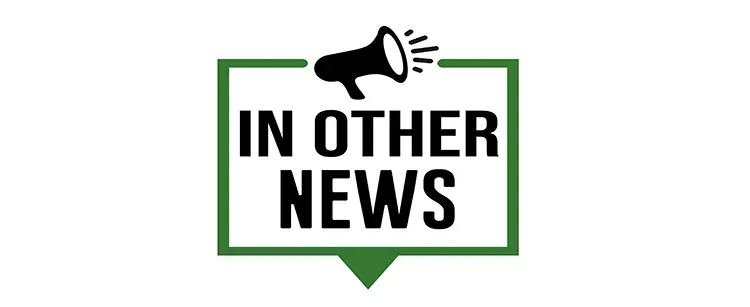 In Other News post image